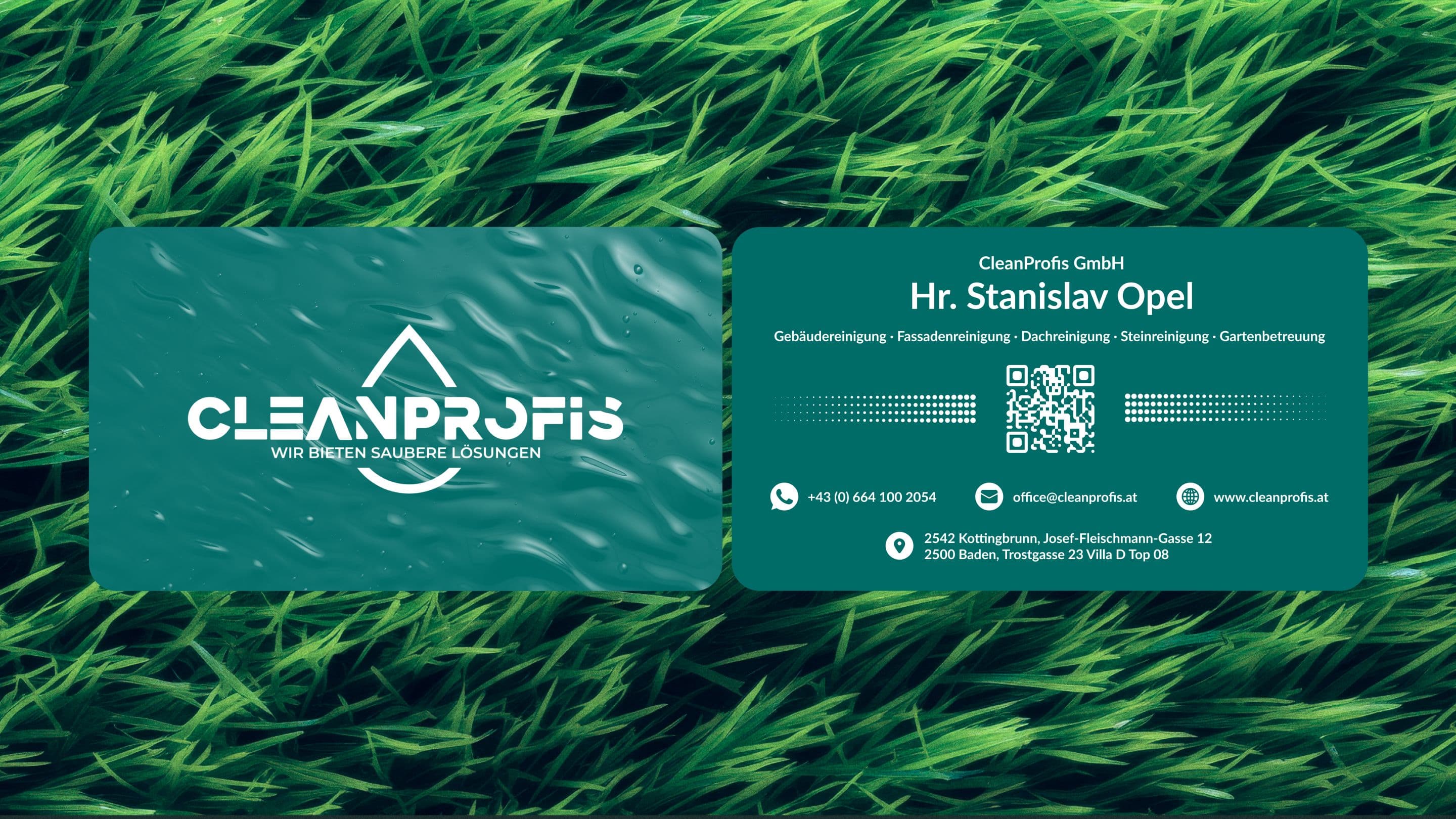 CleanProfis Rebranding image 10