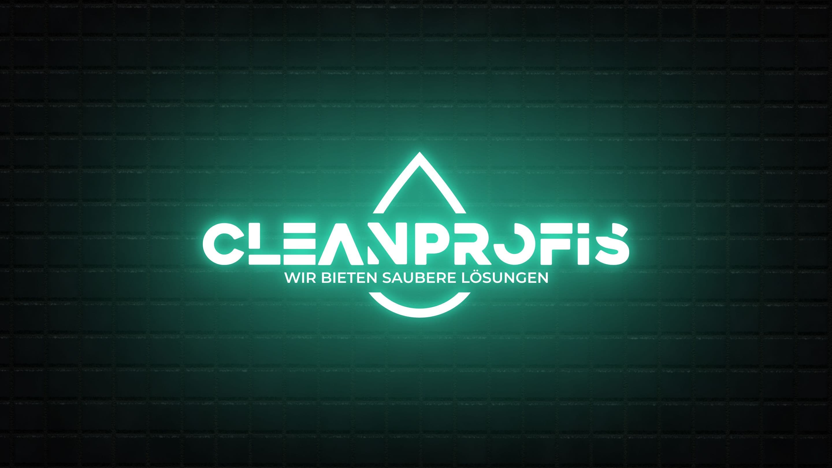 CleanProfis Rebranding image 21