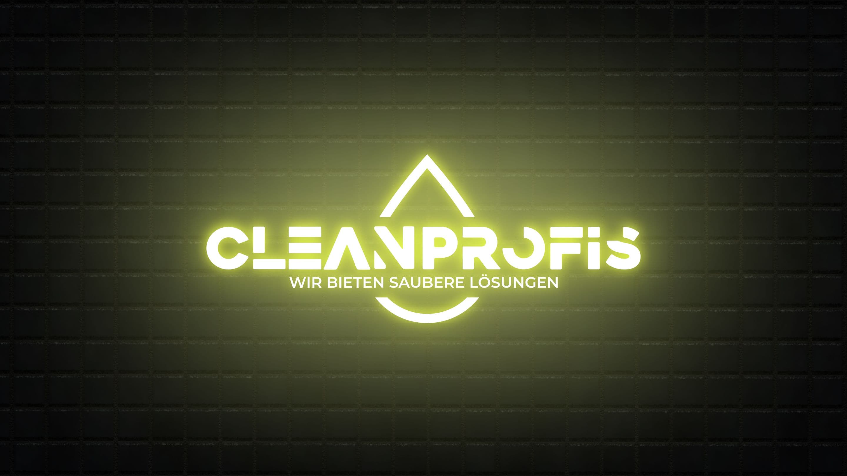 CleanProfis Rebranding image 22