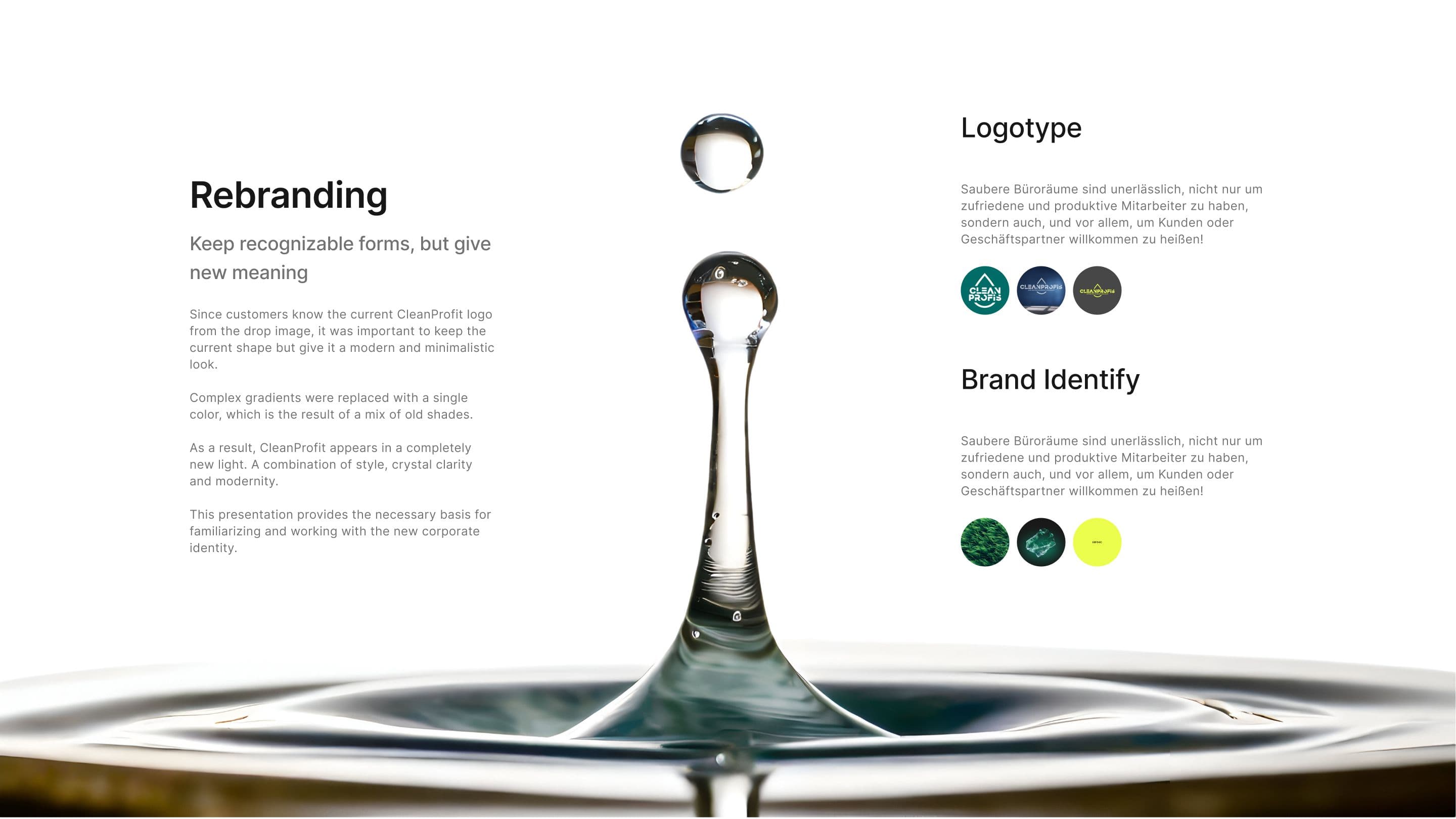 CleanProfis Rebranding image 2