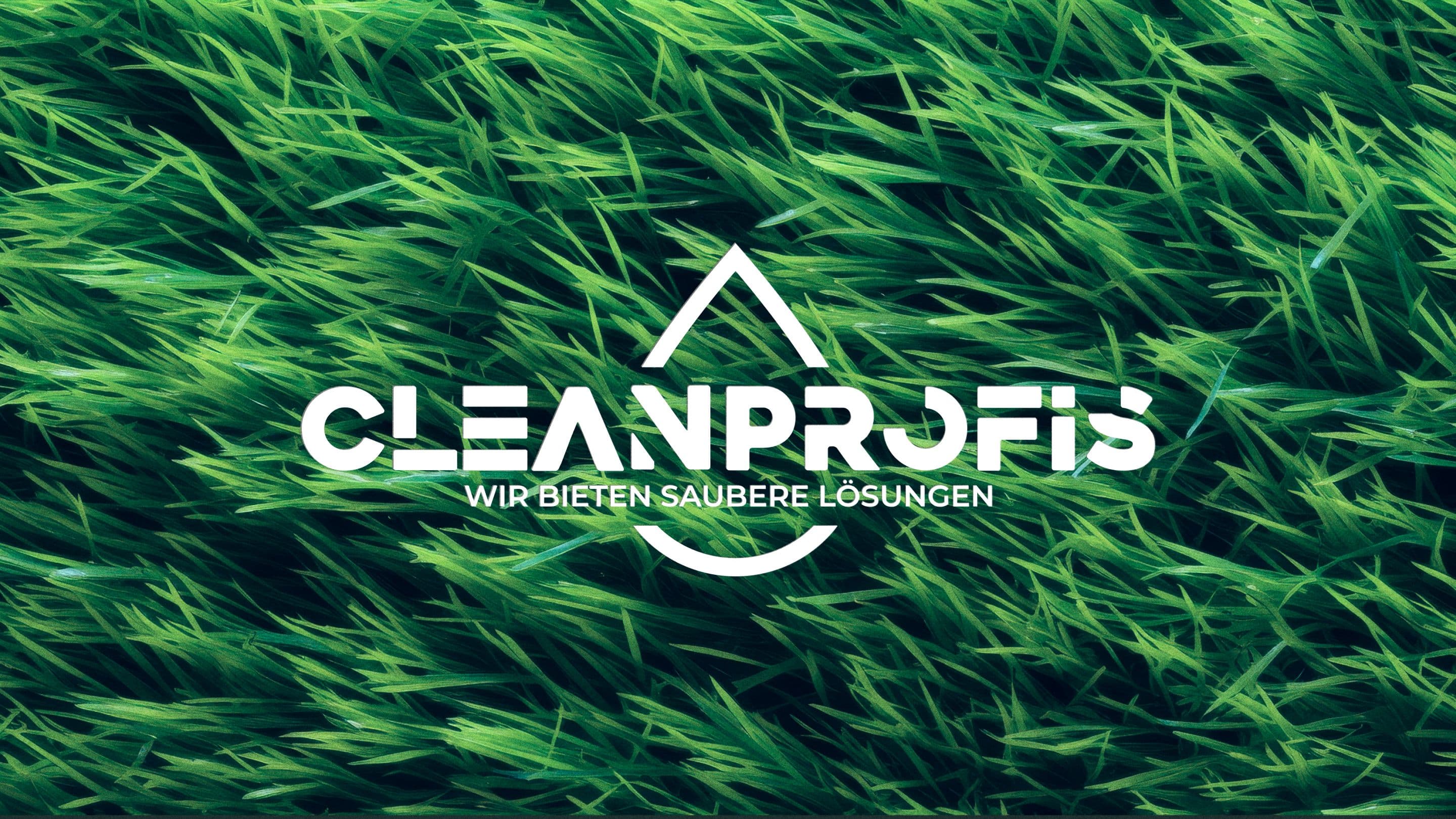 CleanProfis Rebranding image 4