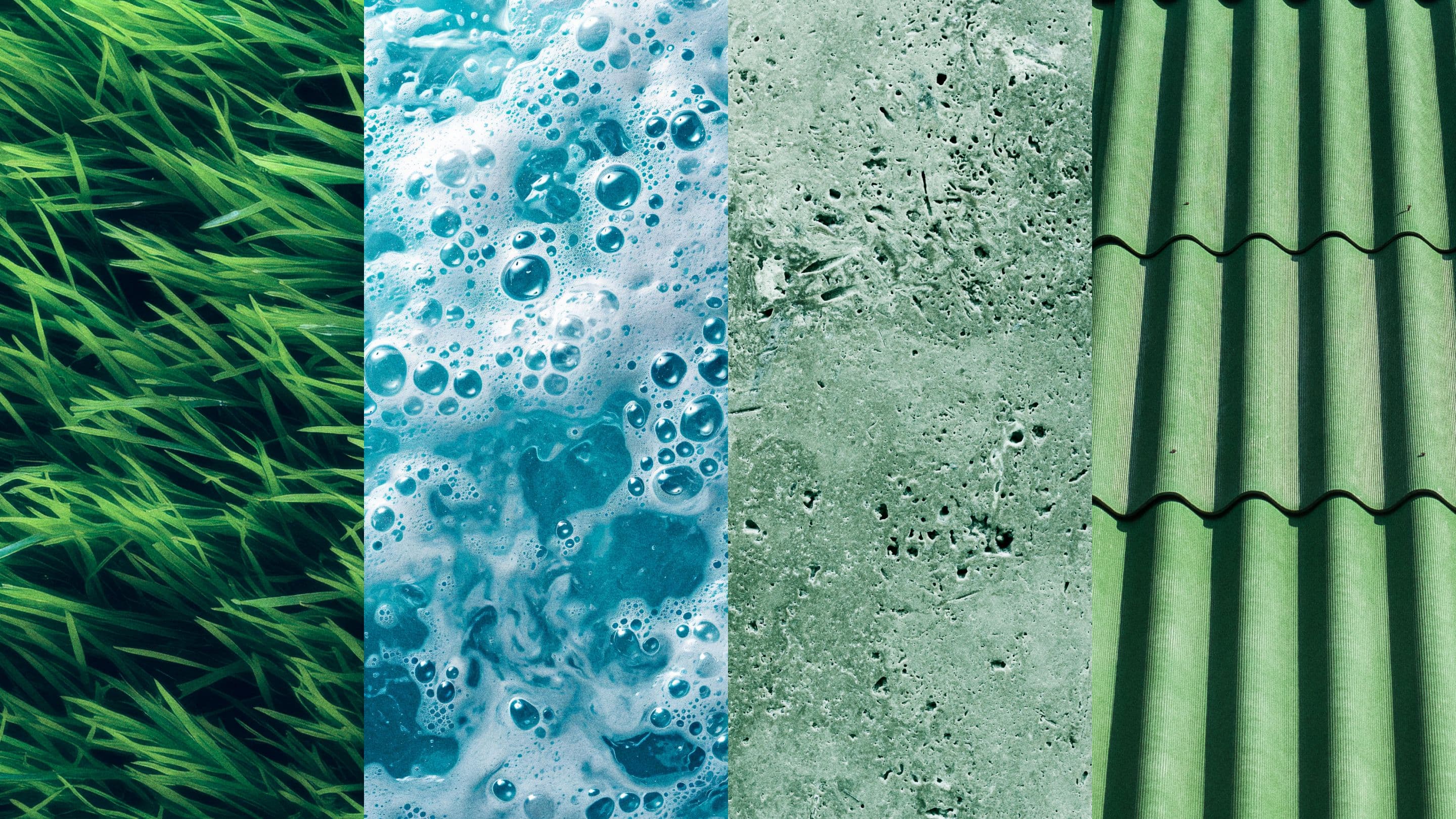 CleanProfis Rebranding image 9