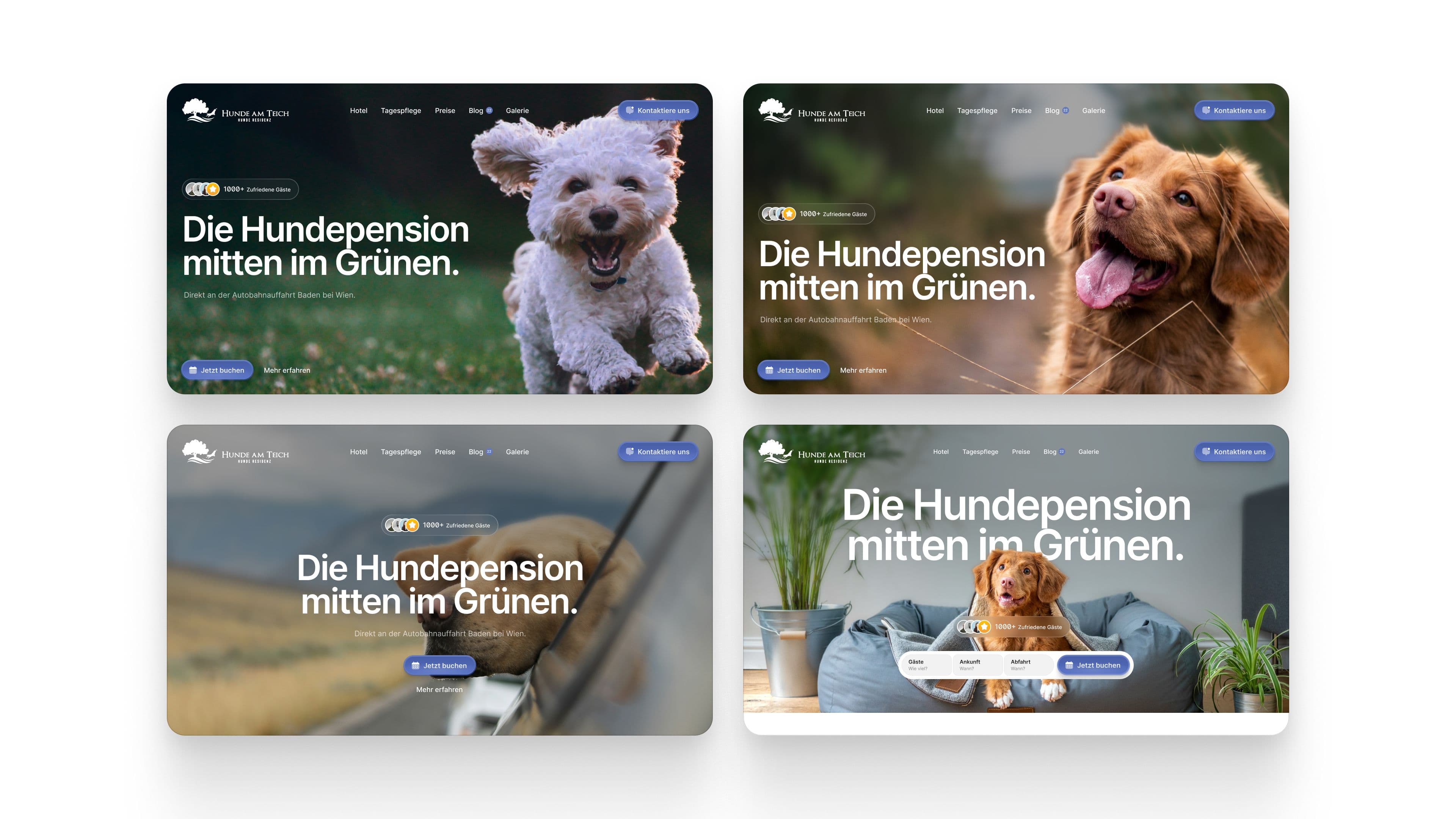 Hunde Am Tech image 3