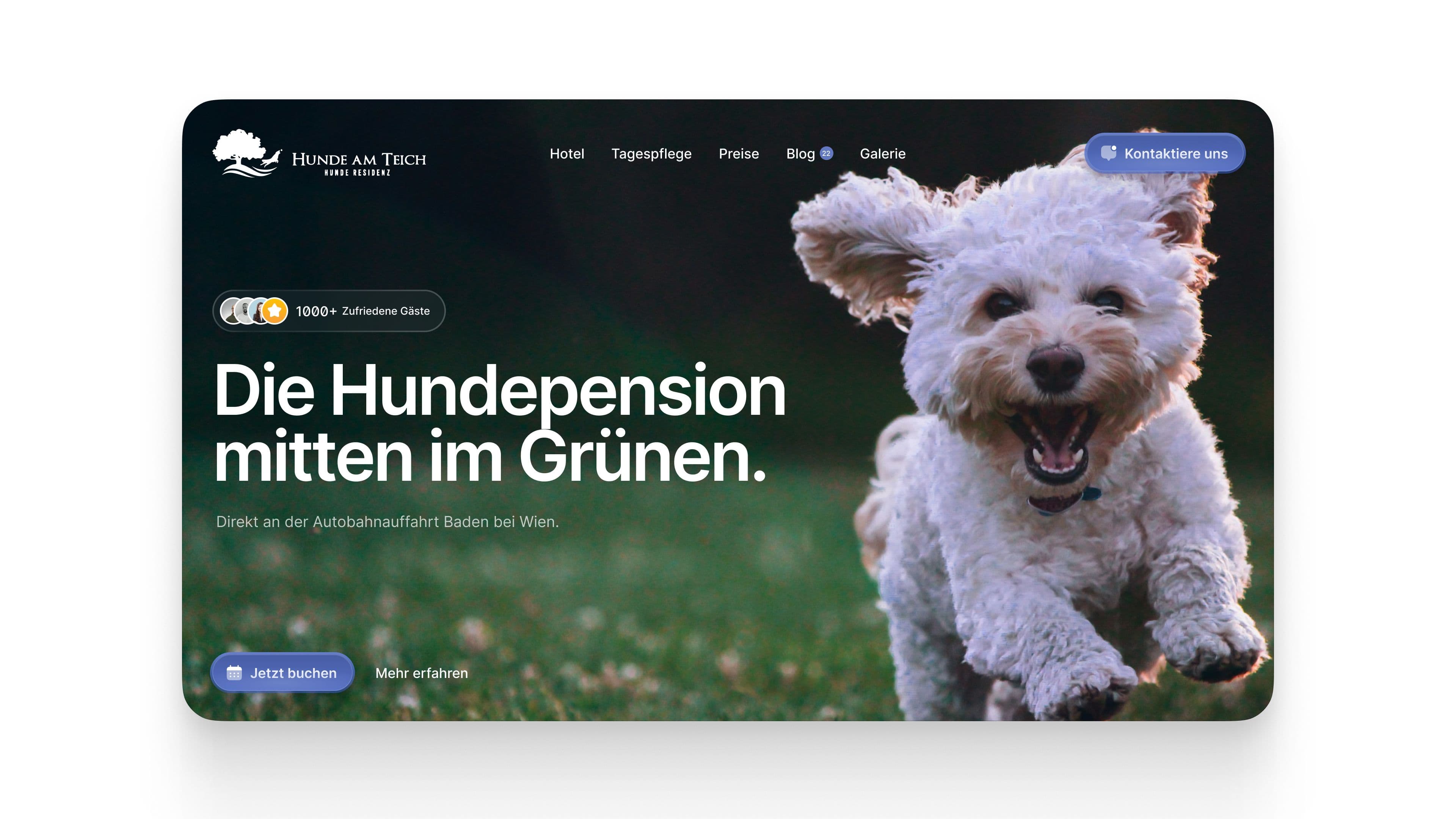 Hunde Am Tech image 5