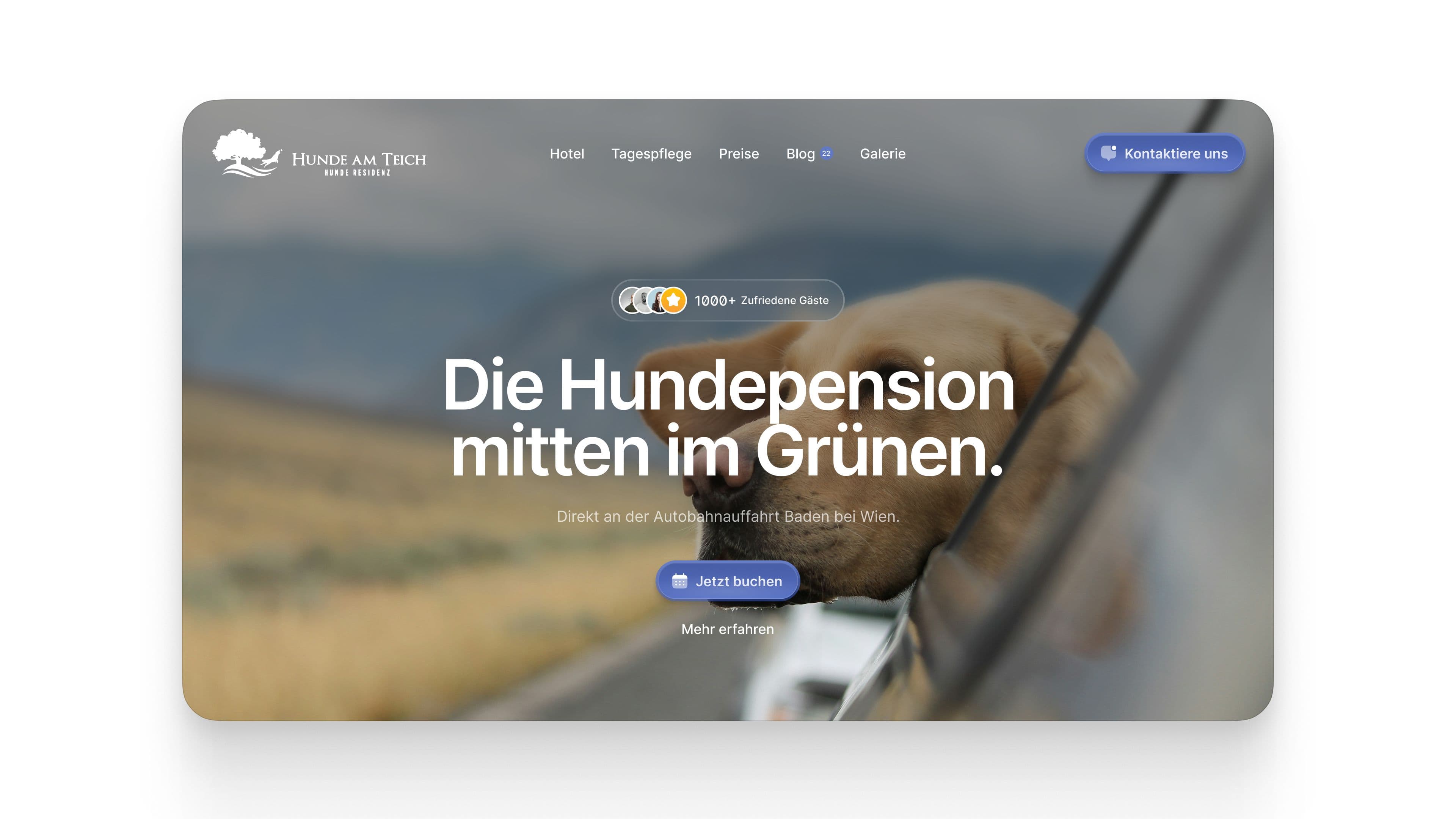 Hunde Am Tech image 7